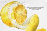True Watercolor Procreate Brushes, a Brush Add-On by Freezerondigital (Thumbnail 15 of 17)