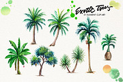 Watercolor Exotic Trees, an Illustration by Graphobia (Thumbnail 3 of 11)