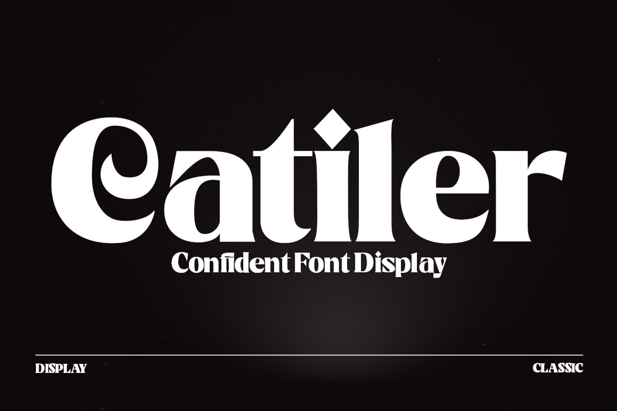 Catiler, a Sans Serif Font by Gatype (Photo 1 of 10)