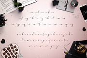 Dolly Script, a Script Font by Font Bundles (Thumbnail 11 of 29)