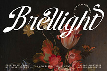 Brellight Elegant Script Font