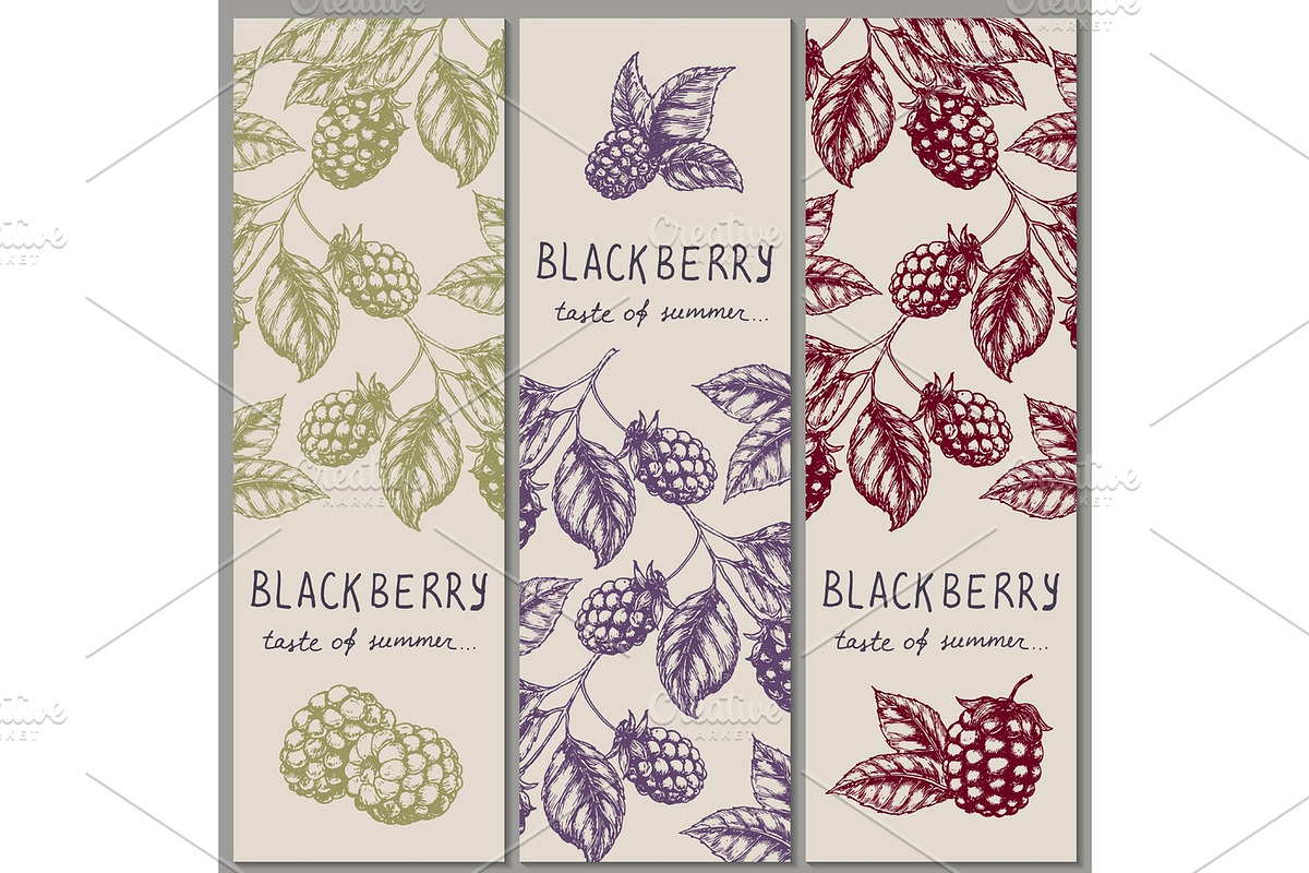 Set of vintage hand drawn blackberry raspberry vertical orientation banners. Vector illustration., a Food Illustration by SHom