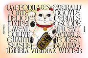 TAN - ENIGMA, a Serif Font by TanType (Thumbnail 4 of 16)