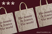 Alfena Pixel, a Serif Font by Craft Supply Co. (Thumbnail 3 of 8)