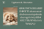 Monsieur Aegis - Modern Luxury Serif, a Serif Font by Qweera Studio (Thumbnail 11 of 12)