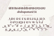 Tranquil Euphoric A Modern Font Duo, a Serif Font by Storytype Studio (Thumbnail 11 of 15)