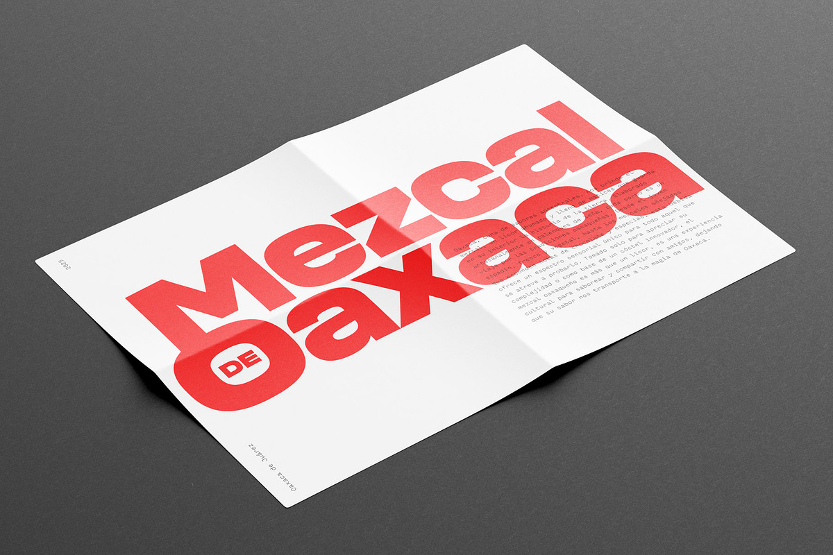Metrostile, a Sans Serif Font by Haus Type (Photo 3 of 6)