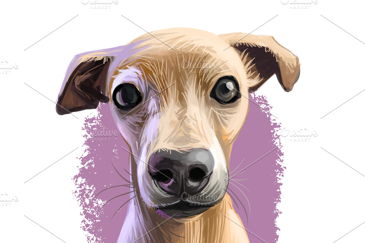 Most Popular Dog Breeds Pet Portrait, an Animal Illustration by Dneprstock (Photo 16 of 23)