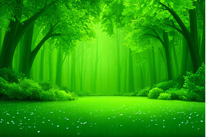 A forest shrouded in mist, featuring, a Nature Photo by ZinetroN