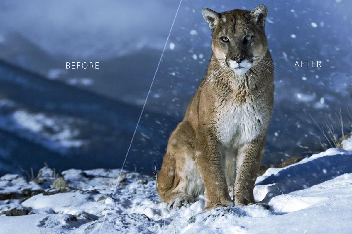 Only Visual Effects Bundle, an Action Add-On by ArtistMef (Photo 37 of 45)