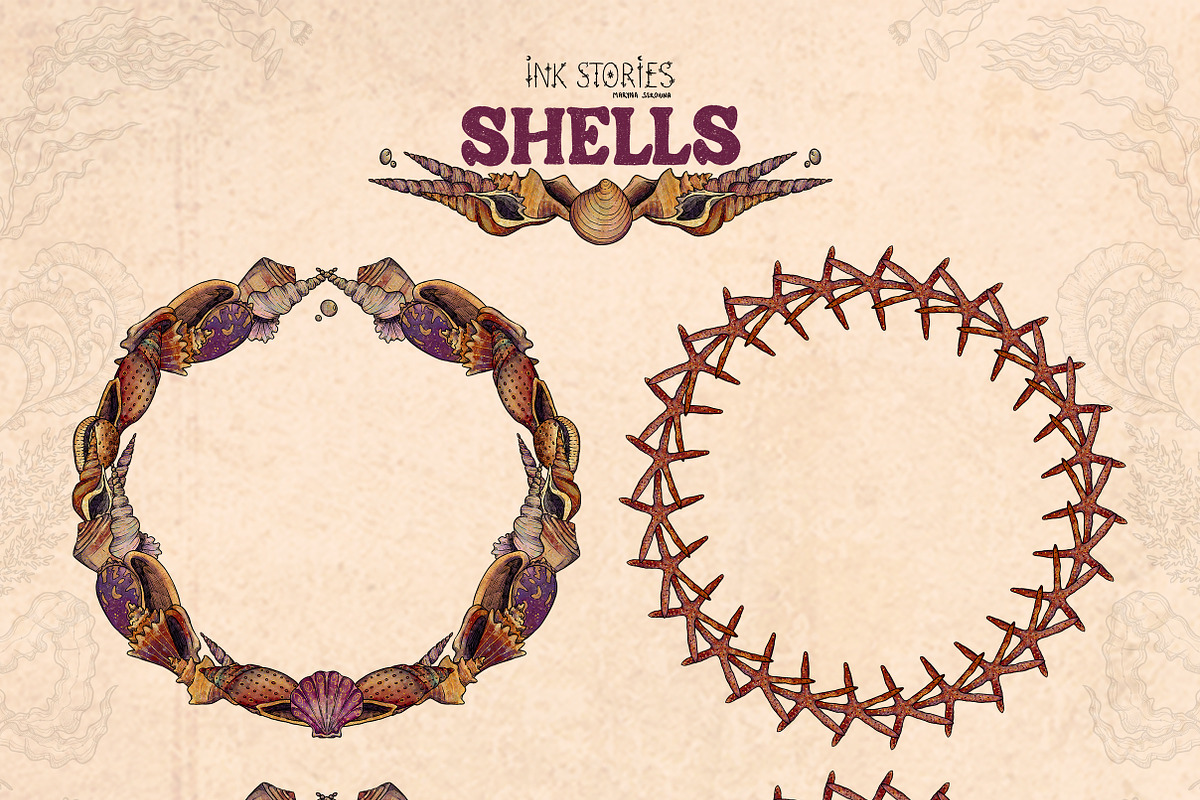 Shells, an Animal Illustration by Ink Stories (Photo 6 of 21)