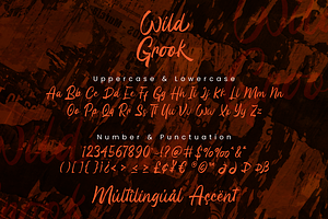 Wild Grook - Brush Script Font