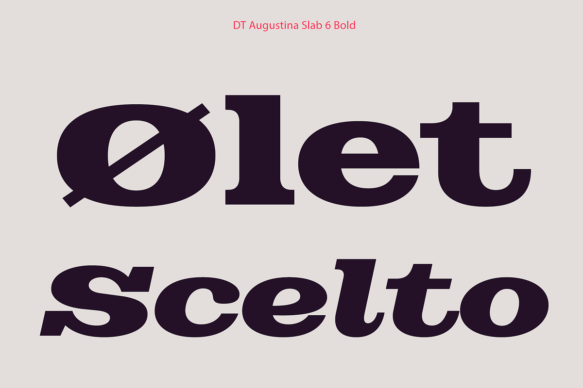 DT Augustina Slab 6 Subfamily, a Slab Serif Font by Deveze Type Foundry (Photo 13 of 30)