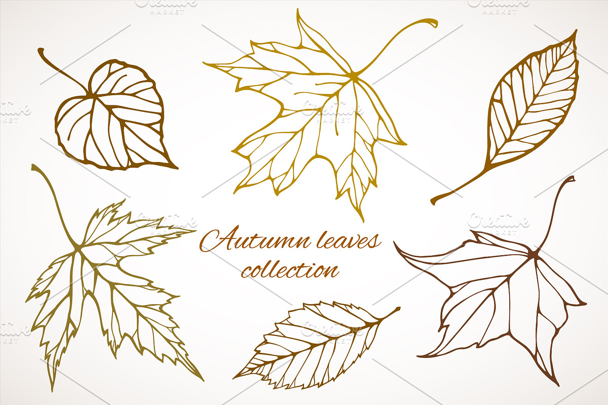 Fall leaves patterns+illustrations, a Decorative Illustration by IreneArt illustrations (Photo 1 of 7)