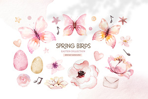 Watercolor Spring Birds Collection