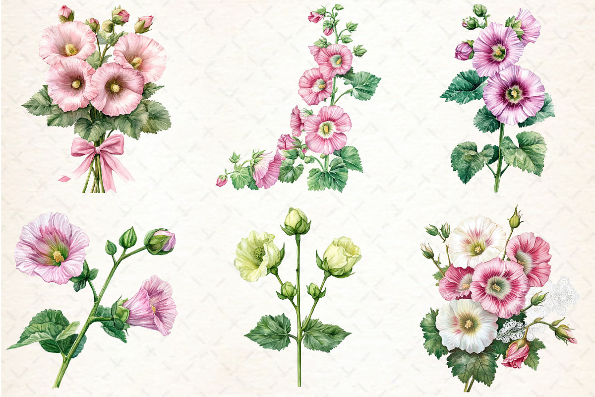 Watercolor Hollyhock Clipart, an Illustration by Libby Wishes (Photo 3 of 12)