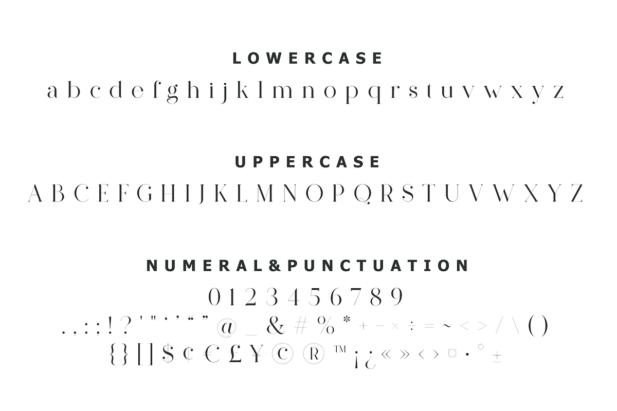 Pelagic Bird - Unique Ligature Font, a Serif Font by Yahya Type (Photo 21 of 22)