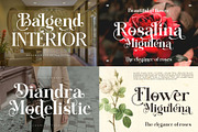 Elegant Ligature Serif  Font Bundle, a Serif Font by Alfinart (Thumbnail 13 of 16)