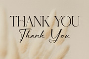 Aurora Magnollia Font Duo, a Serif Font by Storytype Studio (Thumbnail 15 of 15)
