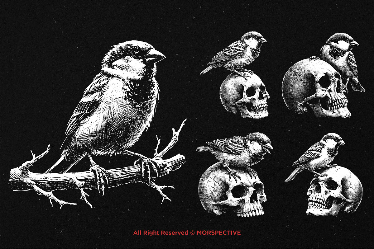 10 Bundle Dark Art Sparrow Bird, an Illustration by Morspective (Photo 3 of 7)