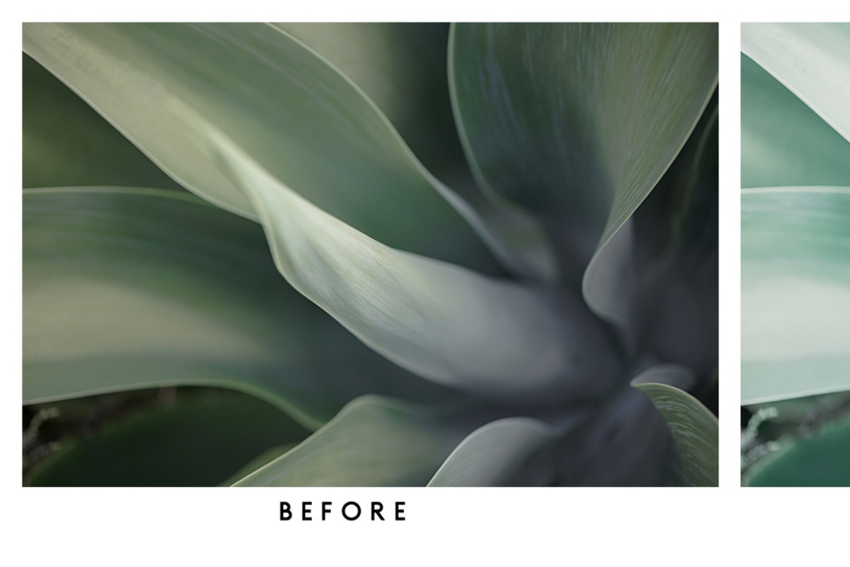 Natural Lightroom Mobile Preset, an Action Add-On by Lux Light (Photo 14 of 28)