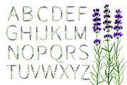 Lavender wreaths, alphabet, pattern, an Illustration by Floralis (Thumbnail 2 of 6)