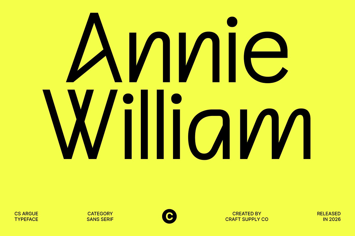 CS Argue – Modern Sans Serif, a Sans Serif Font by Craft Supply Co. (Photo 3 of 8)