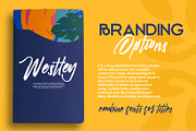 Rio de Janeiro Script Brush Font, a Script Font by WhymoreArt (Thumbnail 3 of 10)