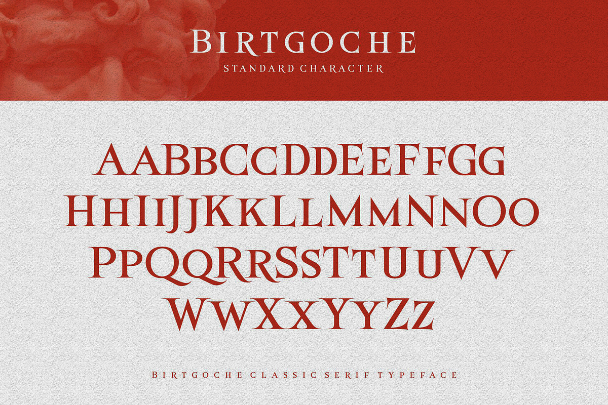 Birtgoche, a Serif Font by ilhamtaro (Photo 8 of 10)