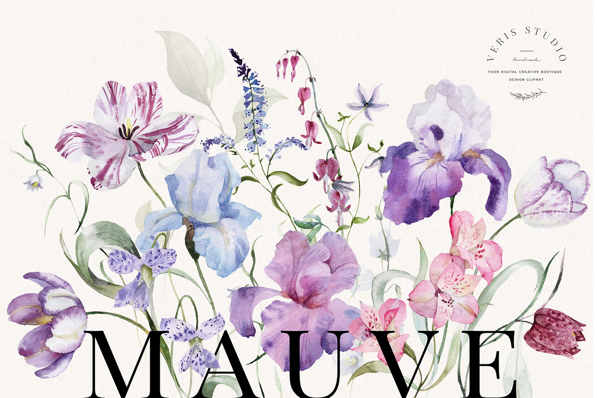 Mauve - Iris Floral Flower Design, a Decorative Illustration by Veris Studio (Photo 1 of 17)