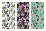 Crazy orchids. Vector patterns., a Pattern Graphic by Robusta (Thumbnail 12 of 17)