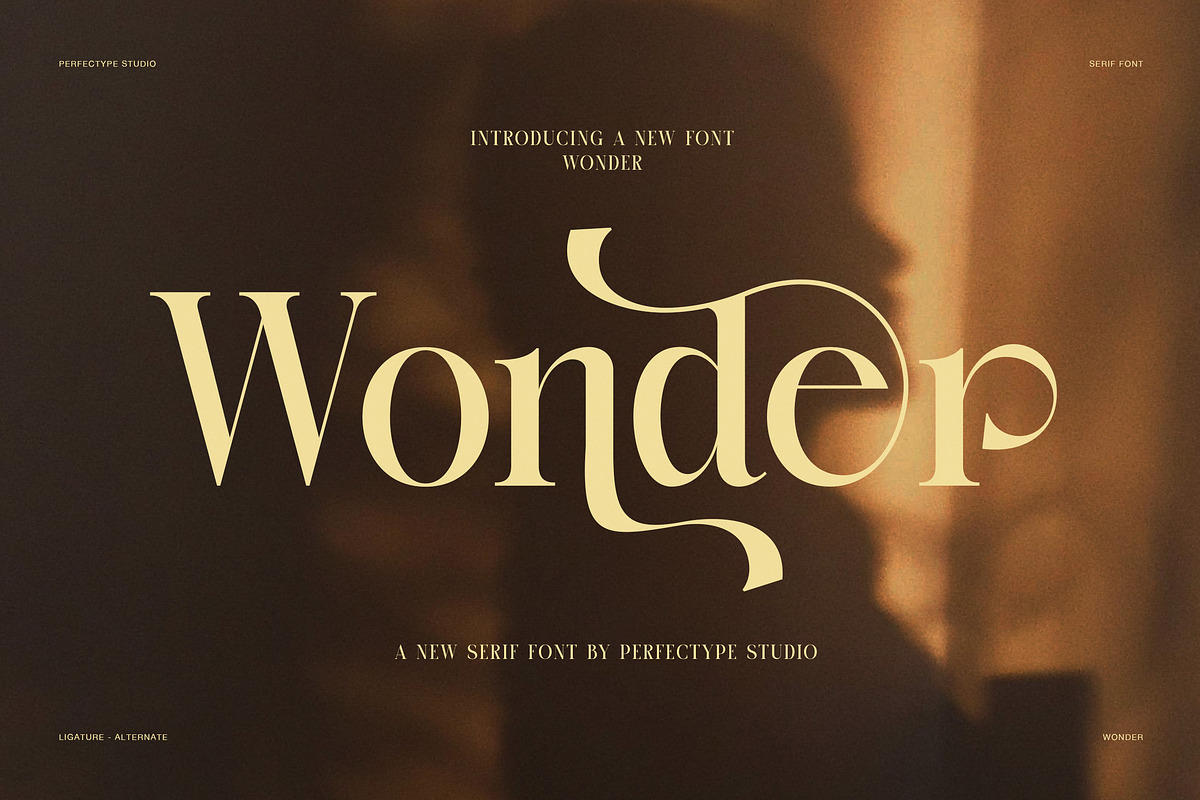 Wonder Elegant Serif Font, a Serif Font by Perfectype (Photo 1 of 8)