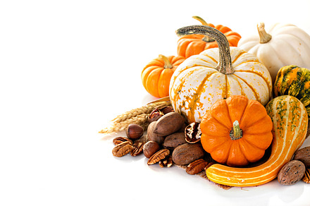 Fall copyspace with decorative pumpkins containing fall, isolated, and white, a Food & Drink Photo by farwasser