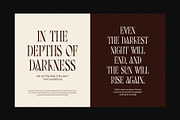 Wavera Stylish Serif Font, a Serif Font by Perfectype (Thumbnail 3 of 8)
