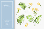 Seamless pattern of tropic flowers., a Pattern Graphic by Kotkoa (Thumbnail 3 of 7)