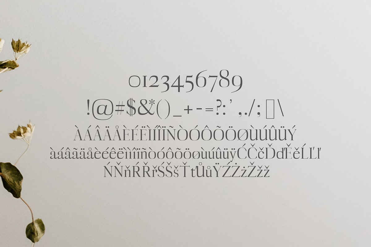 Myron Serif Fonts Family Pack preview 3