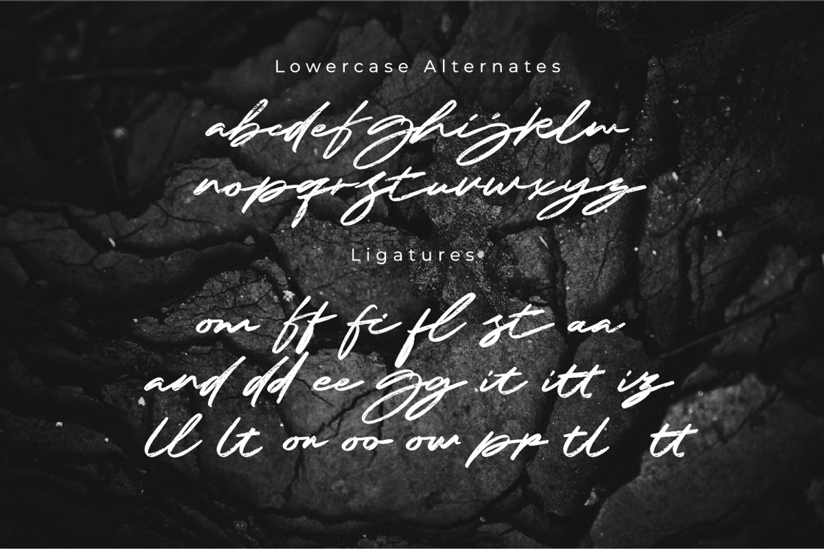Rizanico - Handwriting Brush Script, a Script Font by Olexstudio (Photo 8 of 8)