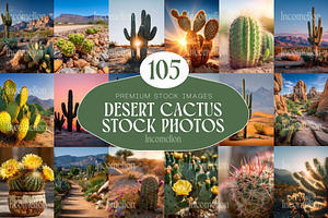 105 Desert Cactus Stock Photos, a Nature Photo by Incomelion
