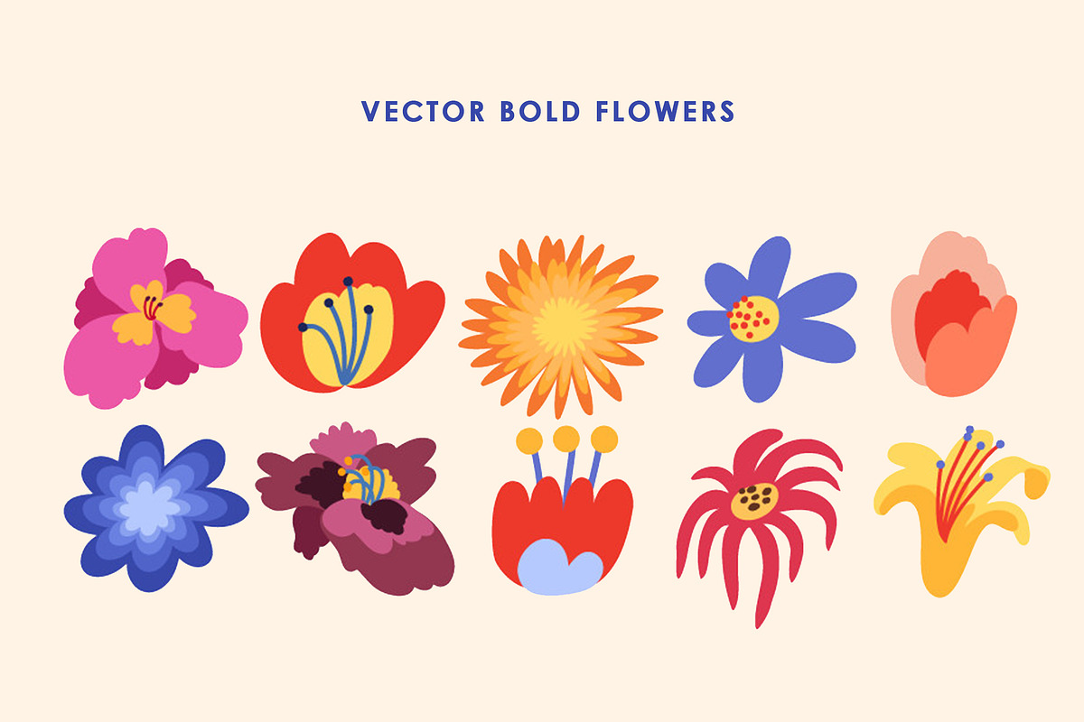 Vintage Flowers Collection, an Object Graphic by Anny (Photo 16 of 17)