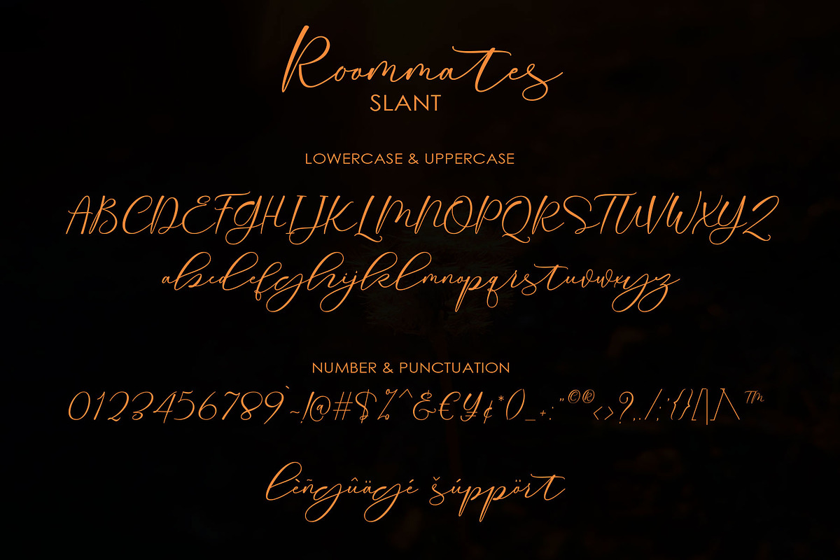 Roommates Script (Reguler & Slant), a Script Font by Jhoel Design (Photo 14 of 16)