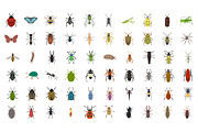 60 Insects Vector Icons, a Duotone Icon by Vectors Market (Thumbnail 2 of 3)