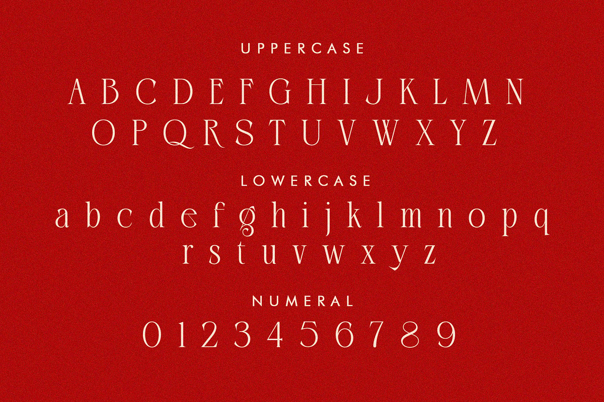 Rose - Modern Serif Font, a Serif Font by Luna Shop (Photo 3 of 10)