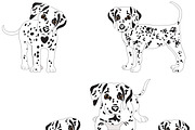 Dalmatian, an Animal Illustration by Orangepencil (Thumbnail 4 of 7)