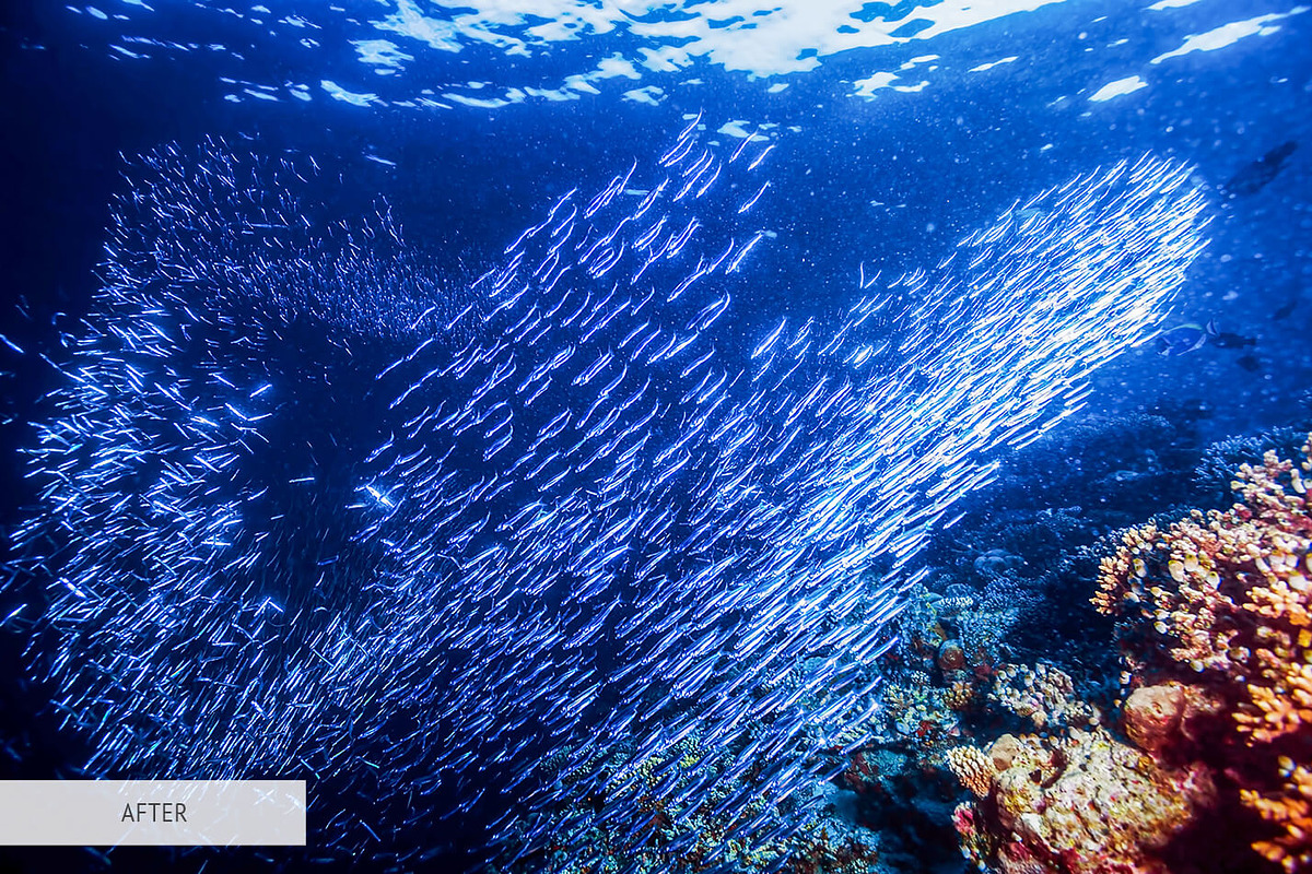 Underwater Photography Presets, a Plug-in Add-On by FixThePhoto (Photo 7 of 32)