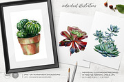 Cacti & Succulents, a Decorative Illustration by Anna Myslivets Art (Thumbnail 5 of 9)