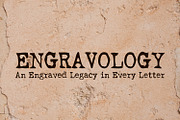 Premium Fonts Collection, a Handwritten Font by OWPictures (Thumbnail 1 of 6)