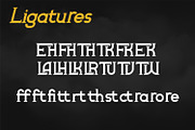 Arlott, a Serif Font by Rishsketch (Thumbnail 10 of 12)