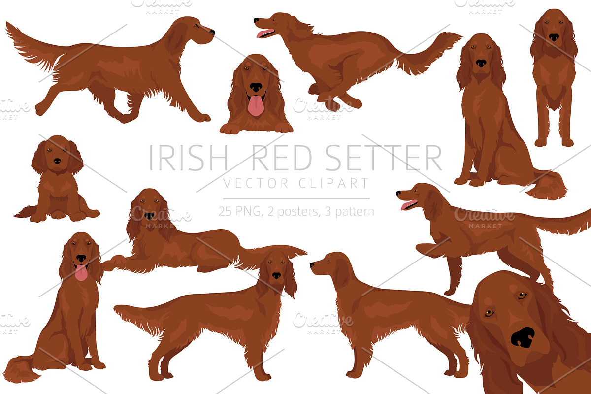 Irish Red Setter clipart, an Animal Illustration by pet design shop (Photo 1 of 8)