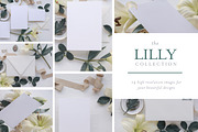 Lilly  invite mock up bundle containing mockup, mock up, and mockups, an Arts & Entertainment Photo by Mockette (Thumbnail 1 of 3)