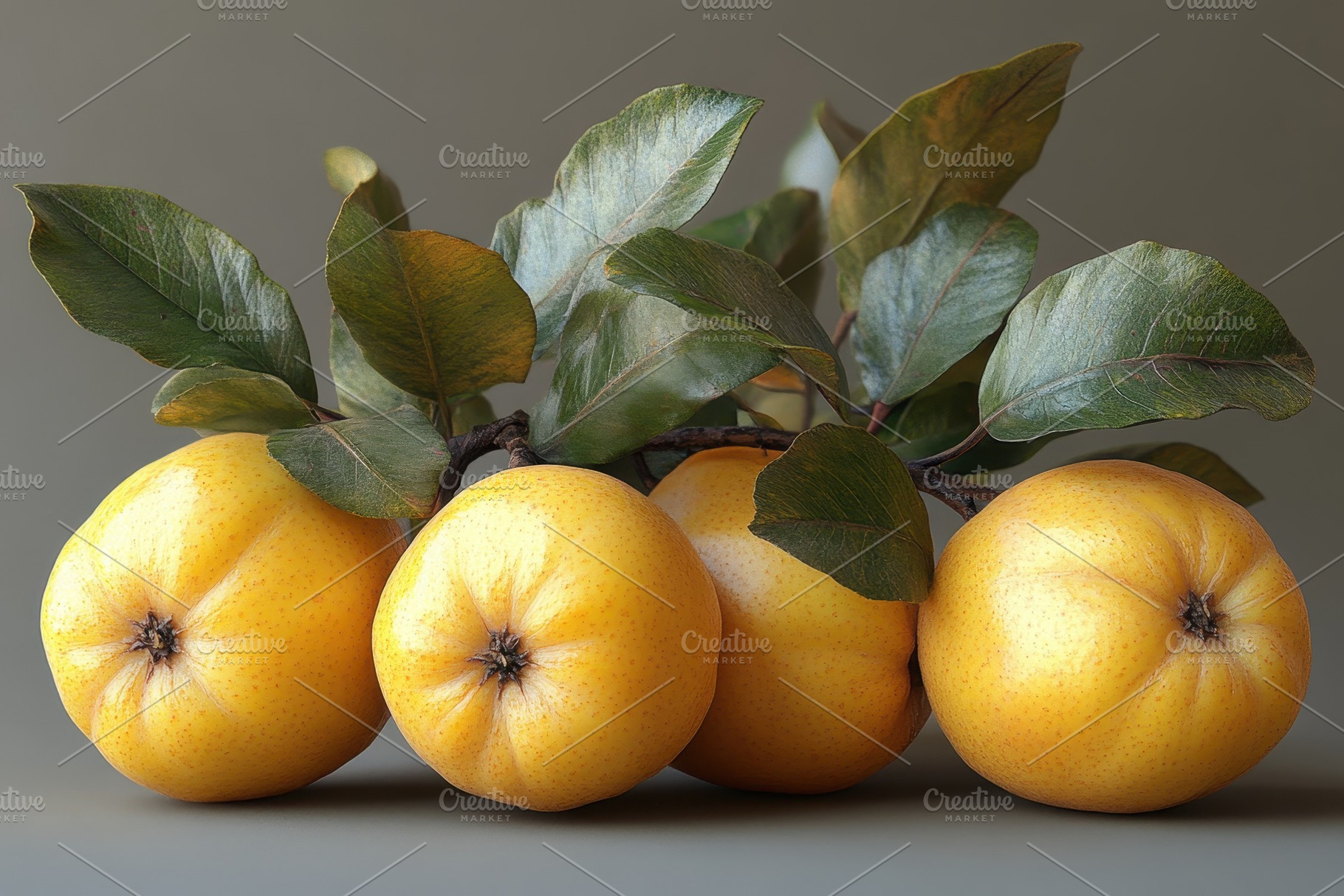 Freshly harvested loquats with green, a Photo by Tanuart